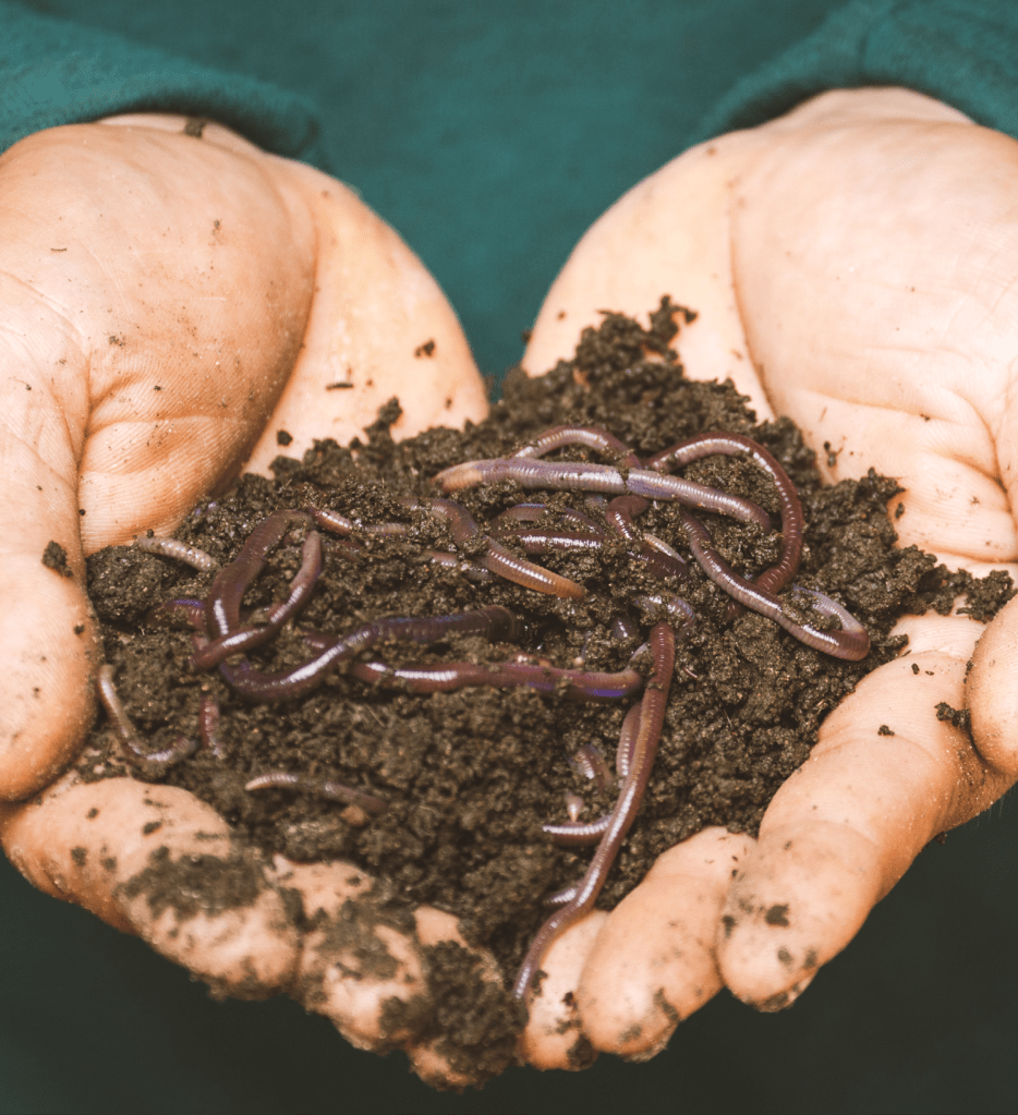 Sippakorn Yamkasikorn von Pexels